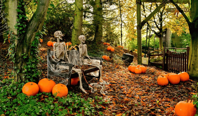 Photo of fake skeletons on the Sundown Adventureland trail during the daytime